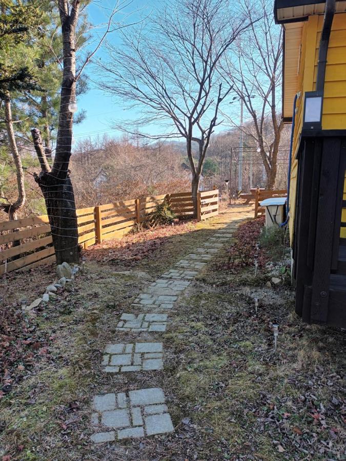 Honey Bear Pension 평창 외부 사진
