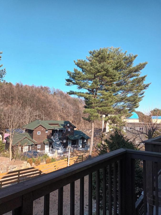 Honey Bear Pension 평창 외부 사진