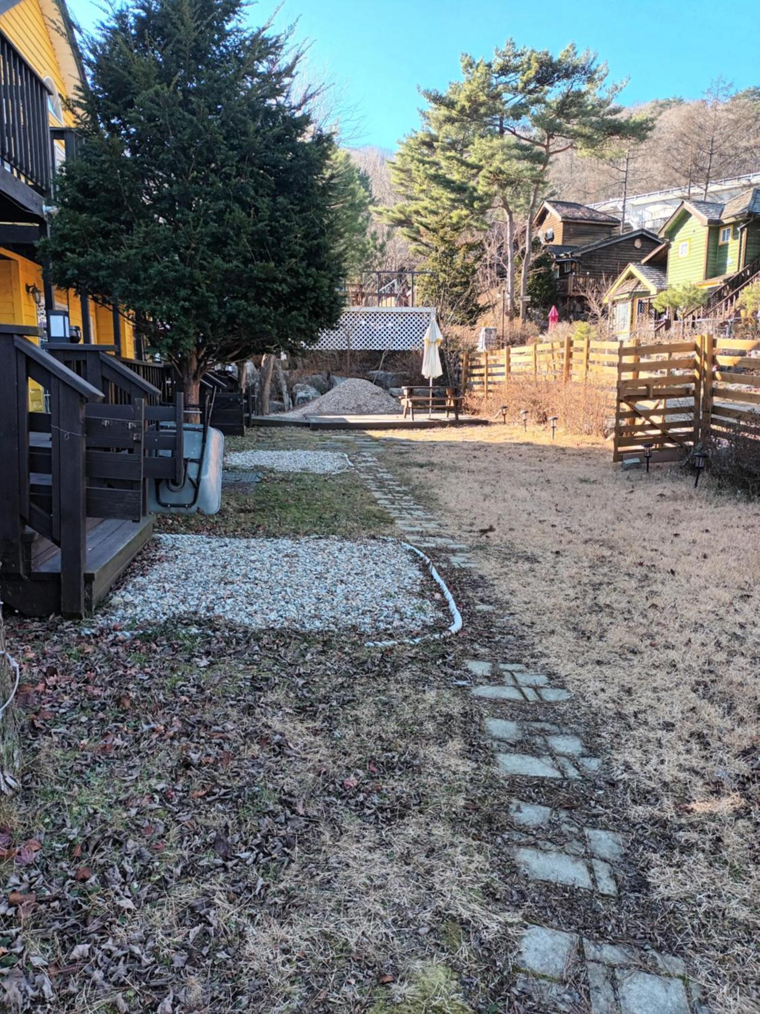 Honey Bear Pension 평창 외부 사진