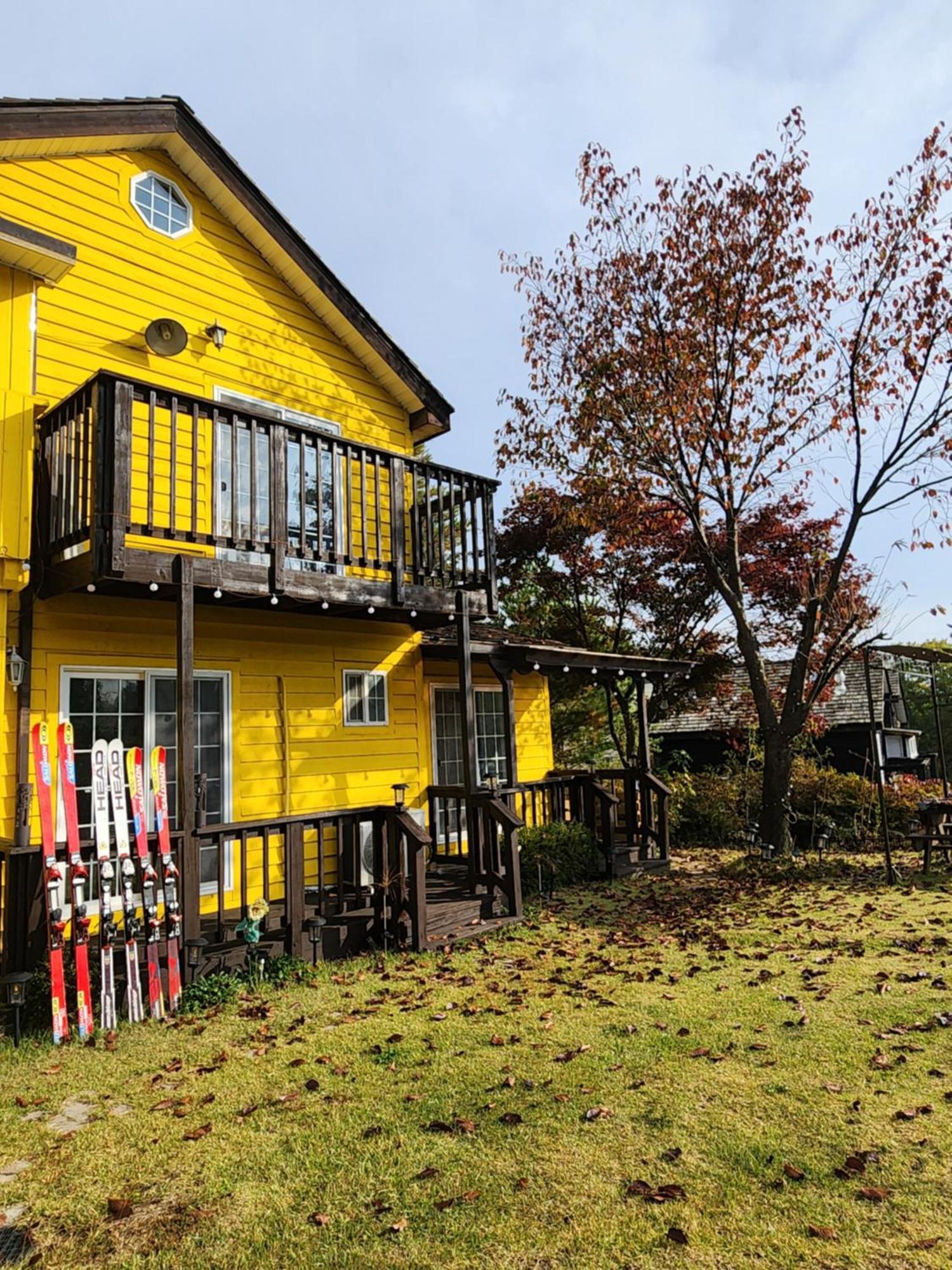 Honey Bear Pension 평창 외부 사진